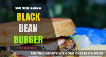 Best Cheeses to Elevate Your Black Bean Burger Experience
