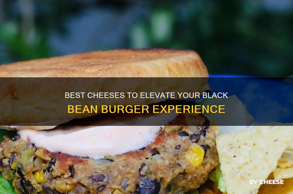 what cheese is good on black bean burger