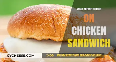 Best Cheeses to Elevate Your Chicken Sandwich Game Instantly
