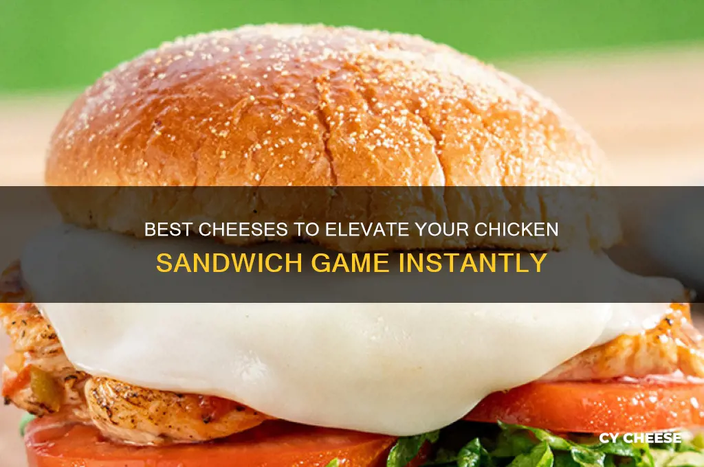 what cheese is good on chicken sandwich
