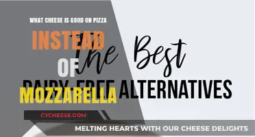 Beyond Mozzarella: Top Cheese Alternatives to Elevate Your Pizza Game