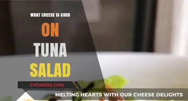 Best Cheeses to Elevate Your Tuna Salad: Creamy, Tangy, and Bold Options