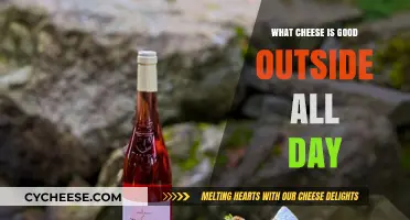 Best Cheeses for Outdoor Adventures: All-Day Durability and Flavor