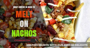 Best Melting Cheeses for Nachos: Top Picks for Ultimate Crunch