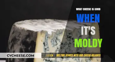 Moldy Cheese Delights: Which Varieties Improve with Age?