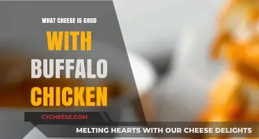 Best Cheeses to Pair with Buffalo Chicken for Ultimate Flavor