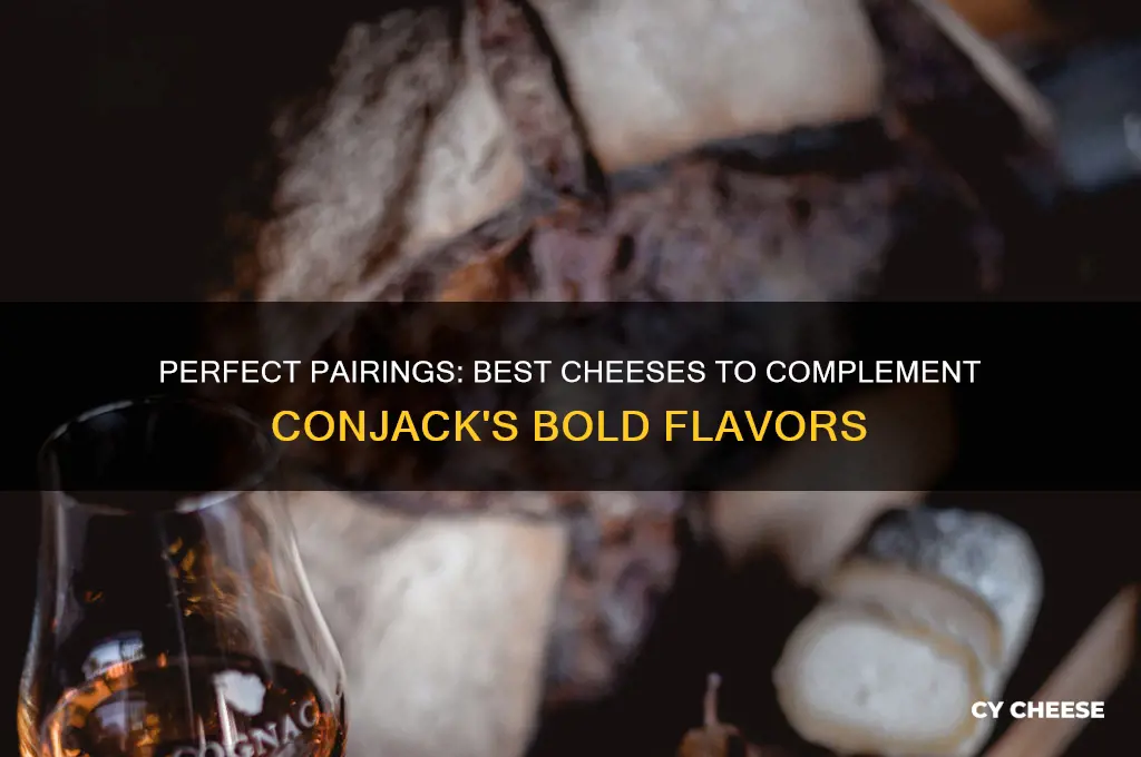 what cheese is good with conjack