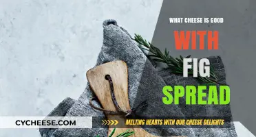 Pairing Perfection: Best Cheeses to Complement Fig Spread Delights