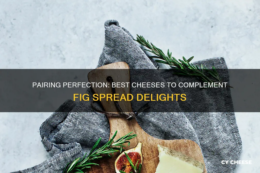 what cheese is good with fig spread