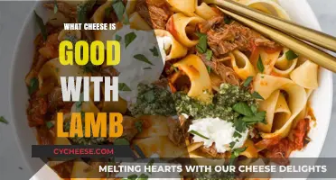 Perfect Pairings: Best Cheeses to Complement Lamb Dishes