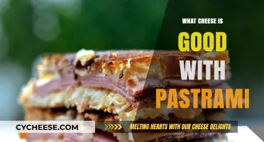 Perfect Pairings: Best Cheeses to Complement Your Pastrami Sandwich