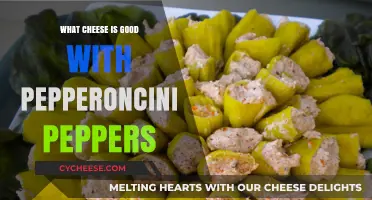 Perfect Cheese Pairings for Pepperoncini Peppers: Spicy and Savory Combos