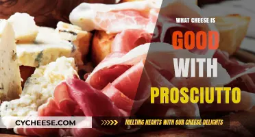 Perfect Pairings: Best Cheeses to Complement Prosciutto's Rich Flavor