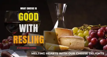Perfect Pairings: Best Cheeses to Complement Your Riesling Wine