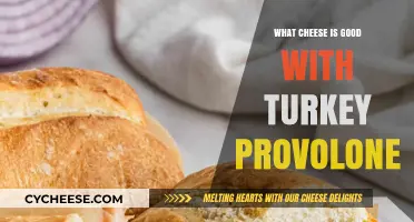 Turkey Provolone's Perfect Pair: Top Cheeses to Elevate Your Sandwich