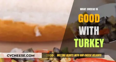 Perfect Pairings: Best Cheeses to Complement Your Turkey Dishes
