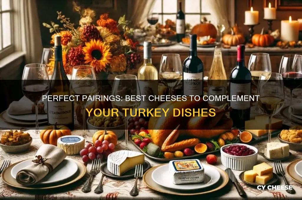 what cheese is good with turkey