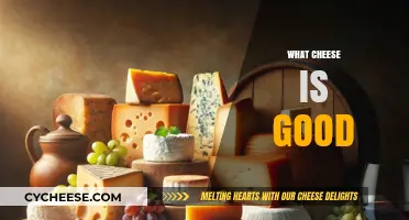 Discover the Best Cheese Varieties for Every Palate and Occasion