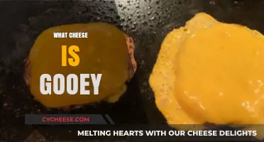 Discover the Creamiest, Meltiest Cheeses for Ultimate Gooey Goodness