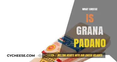 Discover the Rich History and Flavor of Grana Padano Cheese