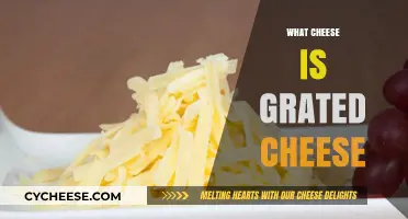 Understanding Grated Cheese: Types, Uses, and Popular Varieties Explained