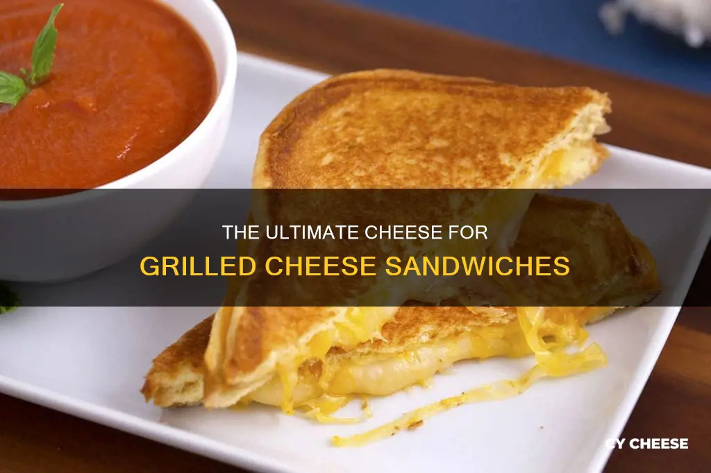 what cheese is grilled cheese made with