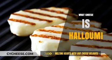 Discover Halloumi: The Versatile, Grilling-Friendly Cypriot Cheese Explained