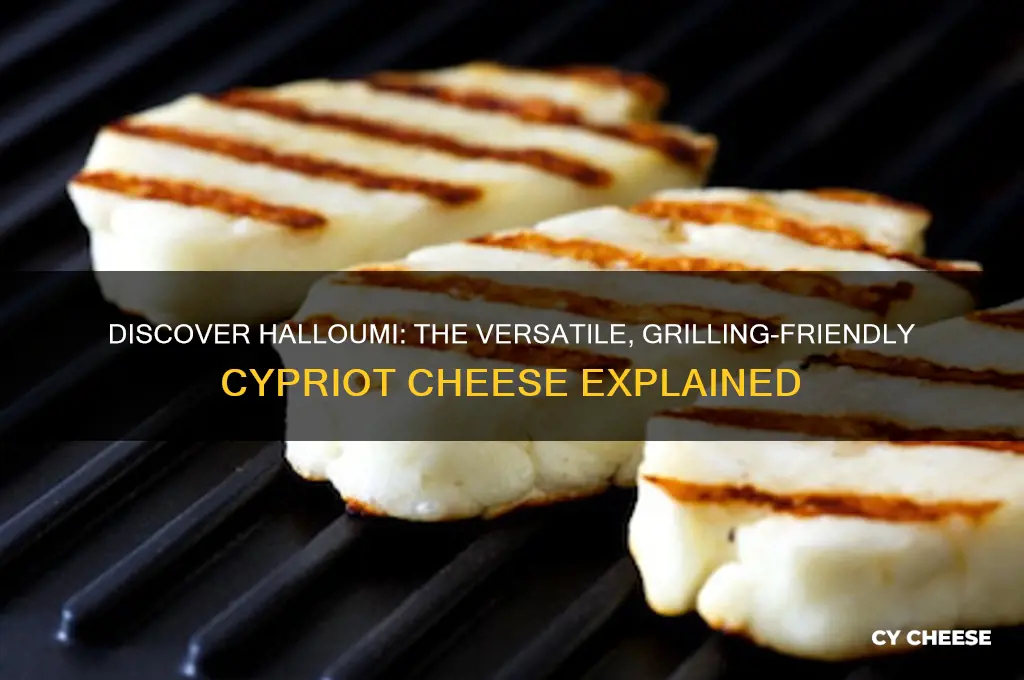 what cheese is halloumi