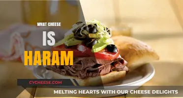 Understanding Haram Cheese: A Guide to Halal Dairy Choices