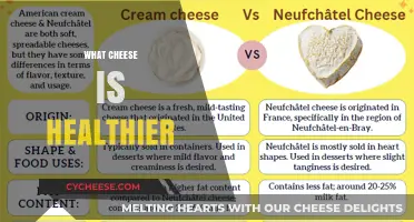 Cheese Nutrition: Which Cheeses are Healthier?