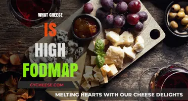 High FODMAP Cheeses to Avoid for a Happy Gut