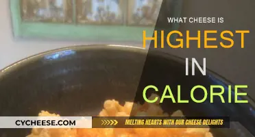 Cheese Calories: Which Cheeses Pack the Most Punch?