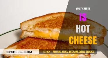 What is Hot Cheese? Exploring the Melty, Spicy, Cheesy Delight