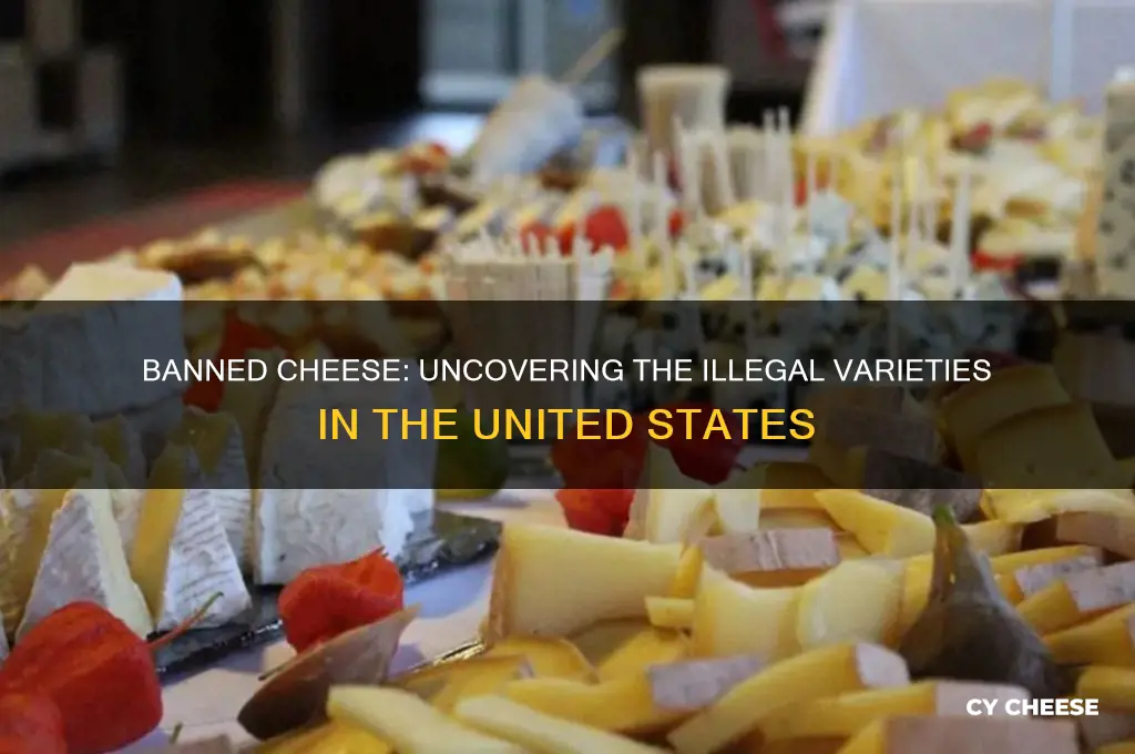 what cheese is illegal in the united states