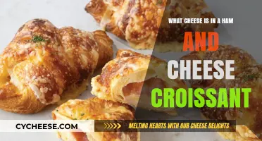 Discover the Perfect Cheese for Your Ham and Cheese Croissant