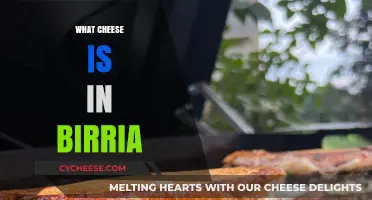Discover the Cheesy Secret: What Cheese is in Birria?