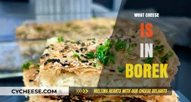 Discover the Cheesy Secret: What Cheese is in Borek?