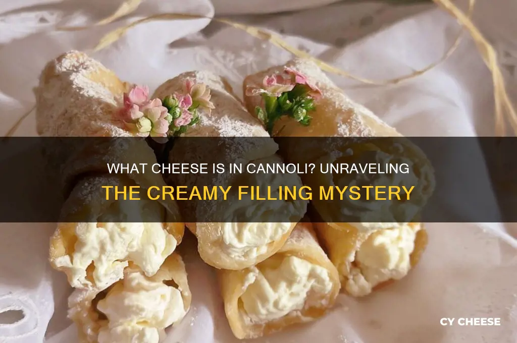 what cheese is in canoli