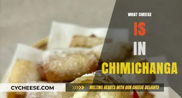 Discover the Cheesy Secret: What Cheese is in Chimichanga?