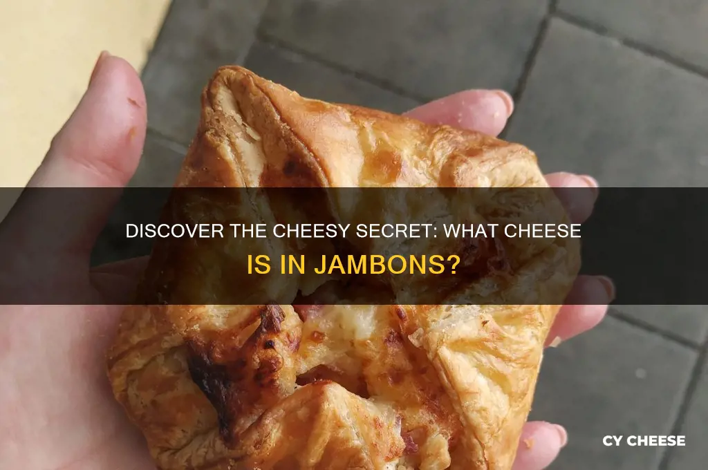 what cheese is in jambons