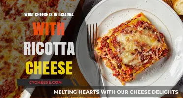 Lasagna Cheese Blend: Ricotta and Its Perfect Parmesan Companion