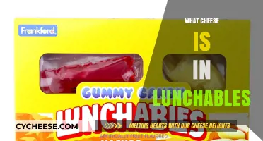 Unveiling the Cheesy Mystery: What Cheese is in Lunchables?