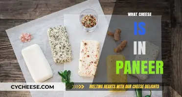 Paneer's Secret: Unveiling the Cheese Mystery in Indian Cuisine