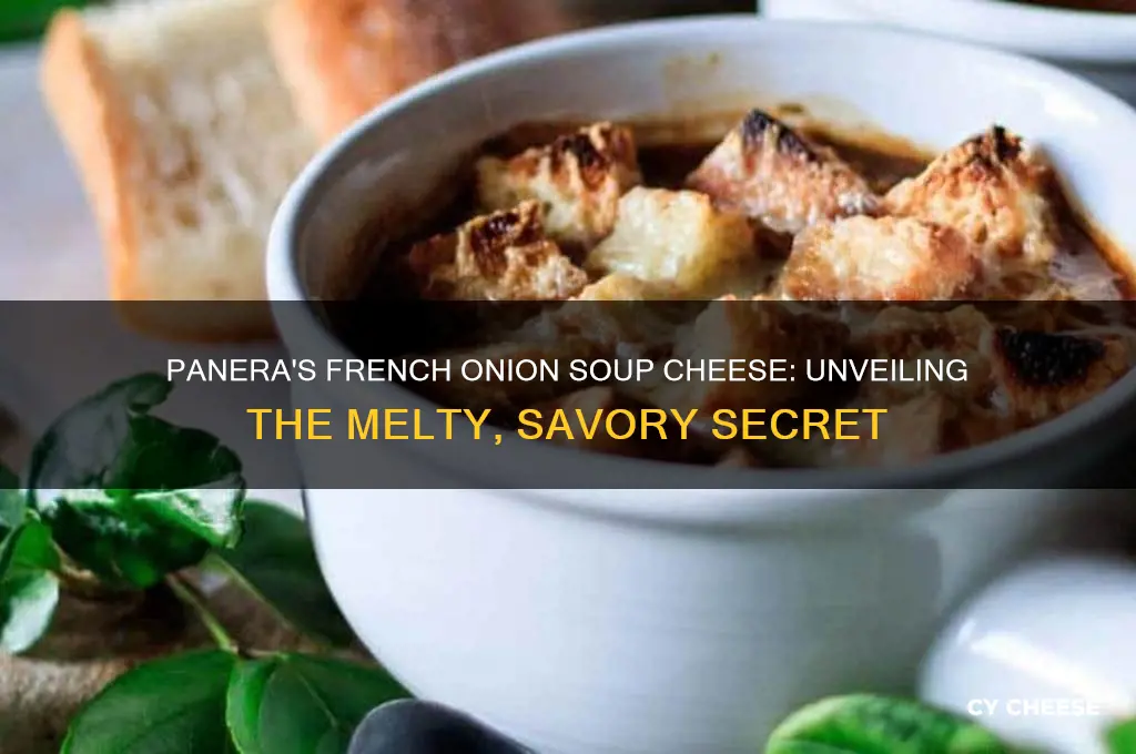 what cheese is in panera french onion soup