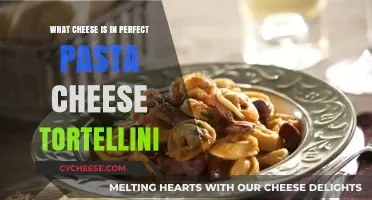 Discover the Perfect Cheese Blend in Tortellini for Ultimate Pasta Delight