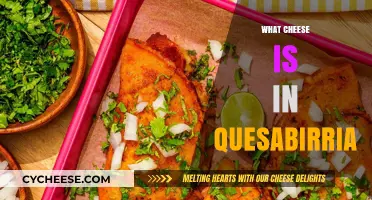 Discover the Cheesy Secret: What Cheese is in Quesabirria?