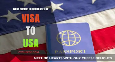 Understanding Travel Insurance Requirements for US Visa Applications