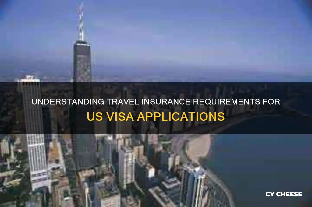 what cheese is insurance for visa to usa