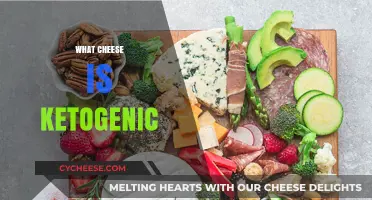 Ketogenic Cheese Guide: Top Low-Carb Options for Keto Diets