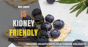 Kidney-Friendly Cheese Choices: Delicious Options for Renal Health